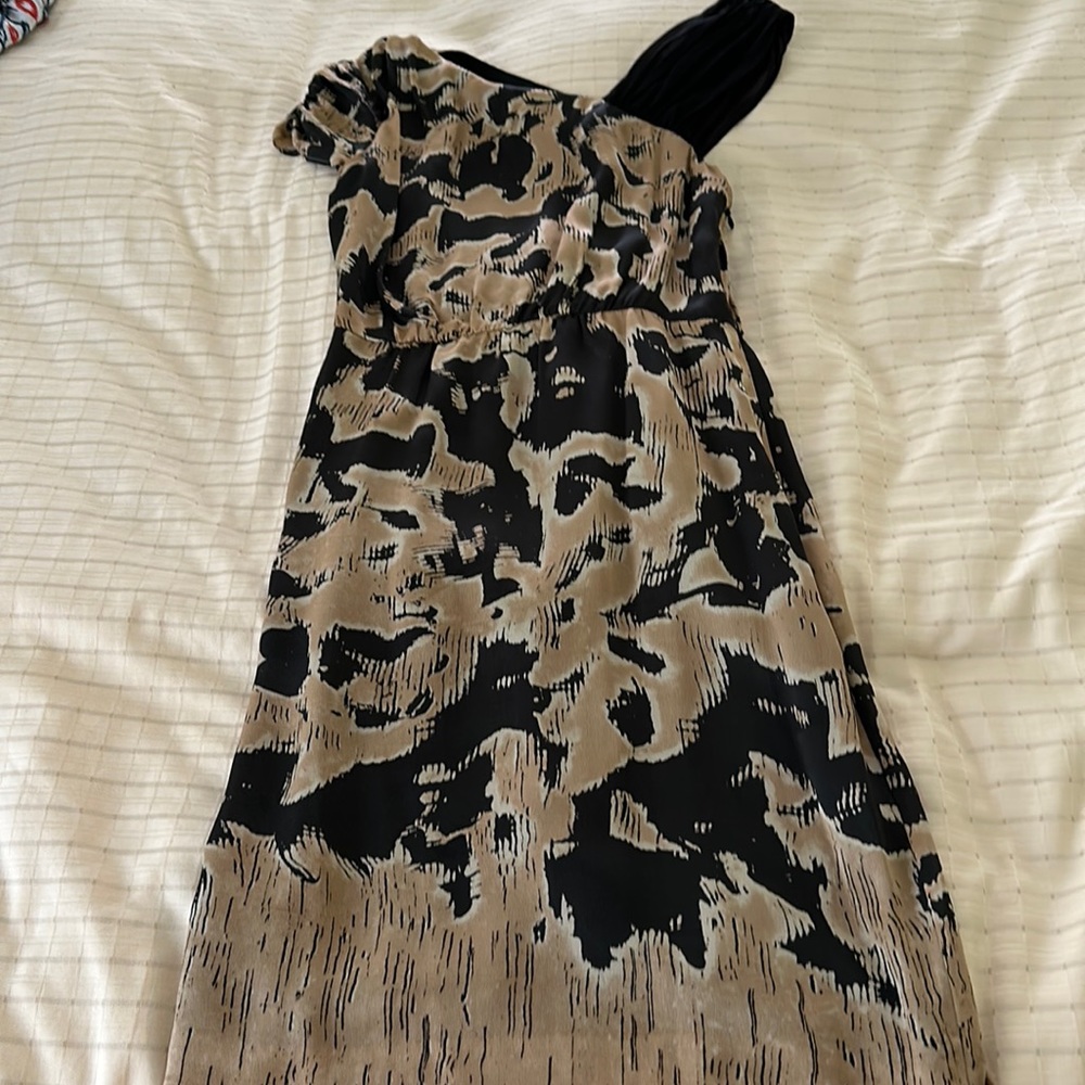 Silk Dress
